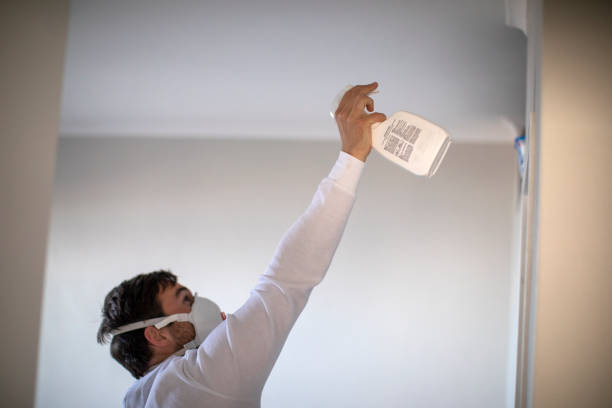 Best Black Mold Removal  in Opp, AL